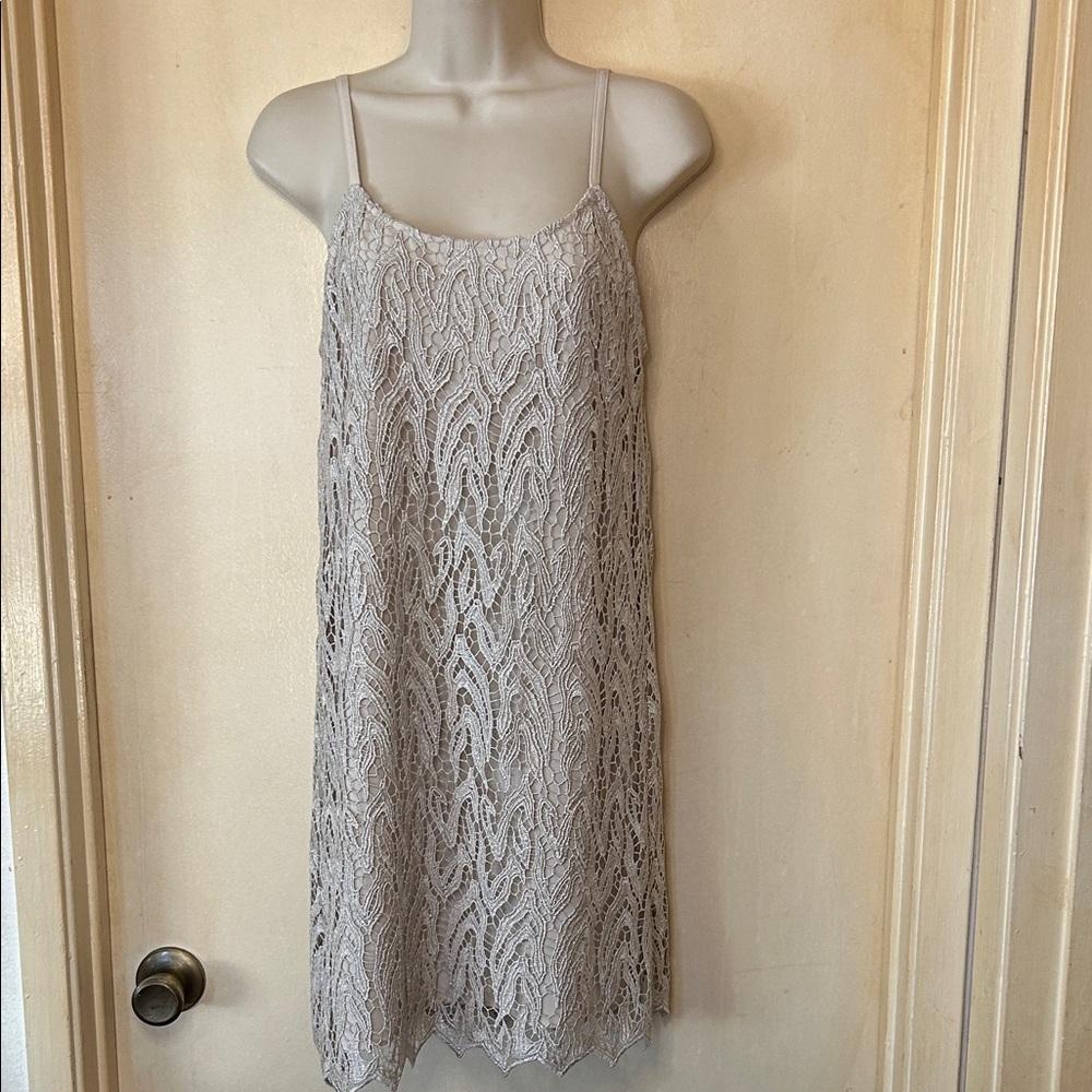 Alice + Olivia Silver Lace Mini Dress size XS